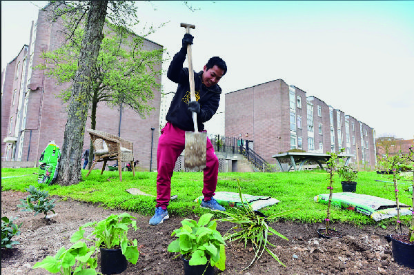 Sinh helps plant the BTTC Community garden